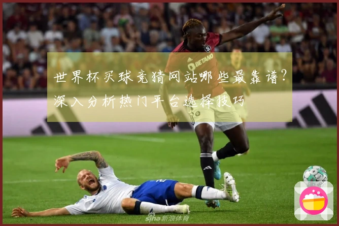世界杯买球竞猜网站哪些最靠谱？深入分析热门平台选择技巧