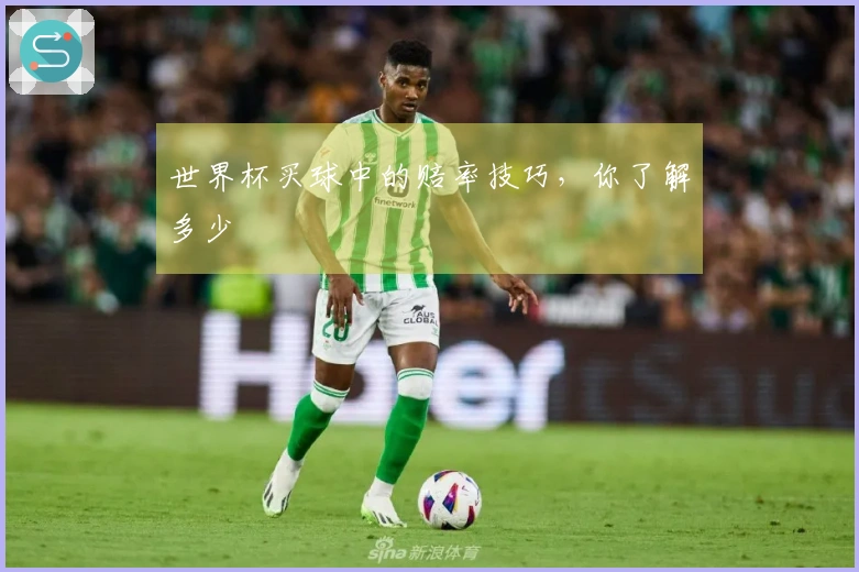 世界杯买球中的赔率技巧，你了解多少
