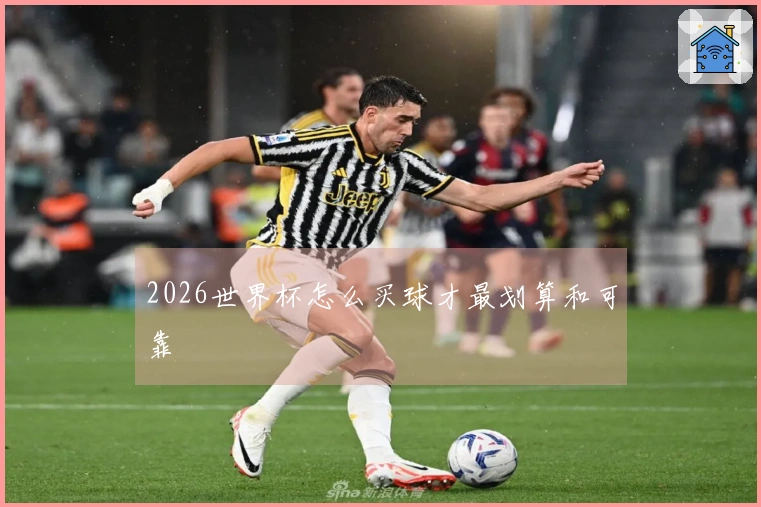 2026世界杯怎么买球才最划算和可靠