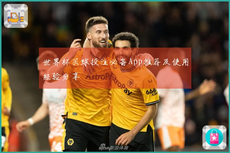 世界杯买球投注必备App推荐及使用经验分享