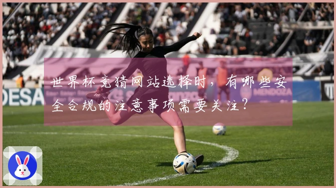 世界杯竞猜网站选择时，有哪些安全合规的注意事项需要关注？
