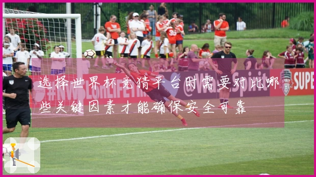 选择世界杯竞猜平台时需要对比哪些关键因素才能确保安全可靠