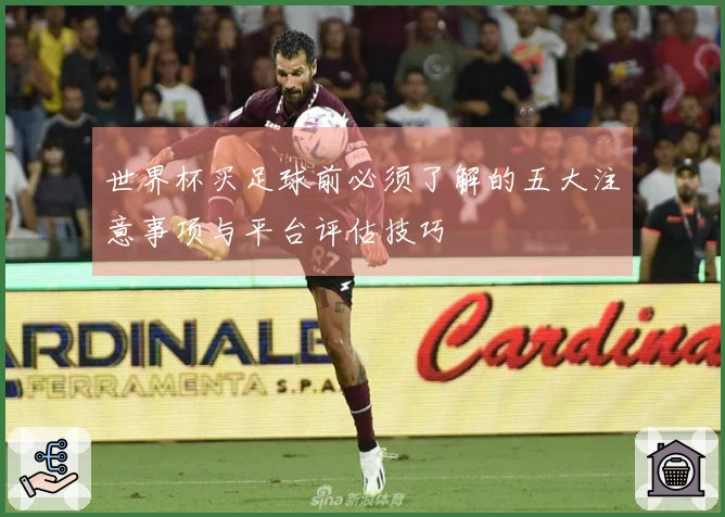 世界杯买足球前必须了解的五大注意事项与平台评估技巧